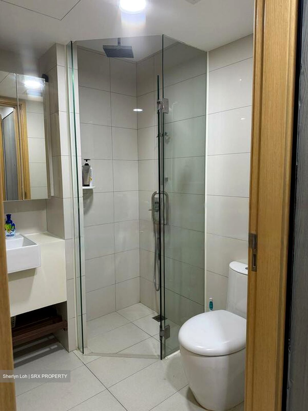 Eight Riversuites (D12), Condominium #503934771